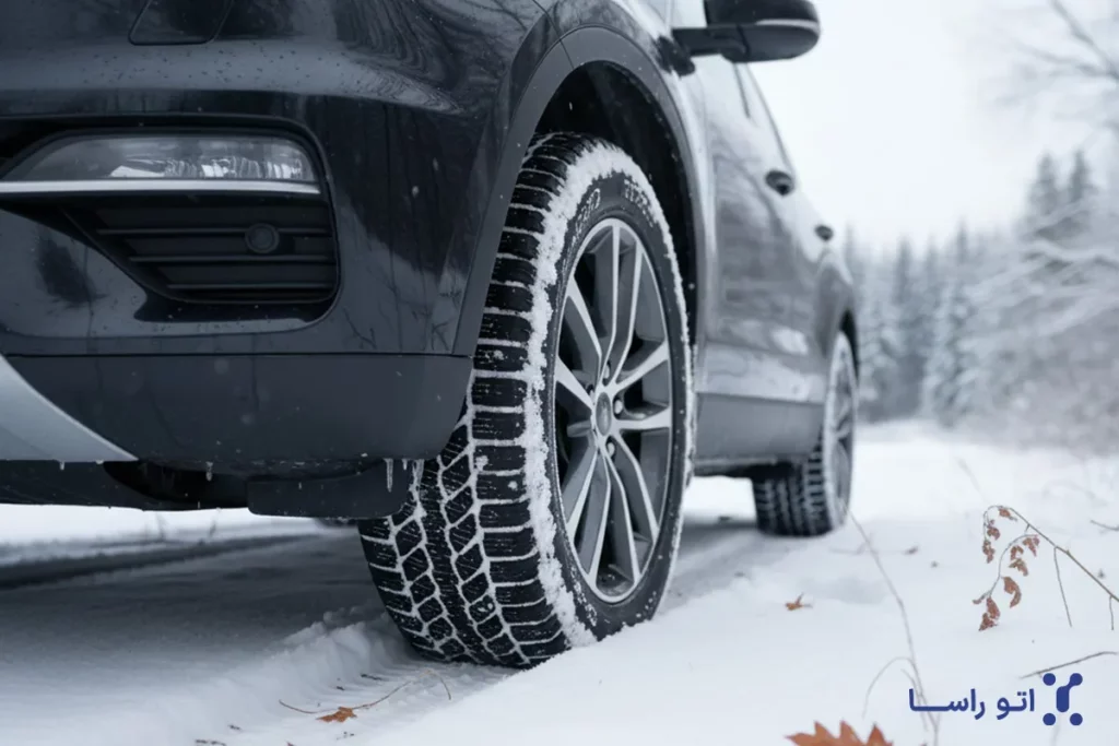 گل لاستیک زمستان و پاییز