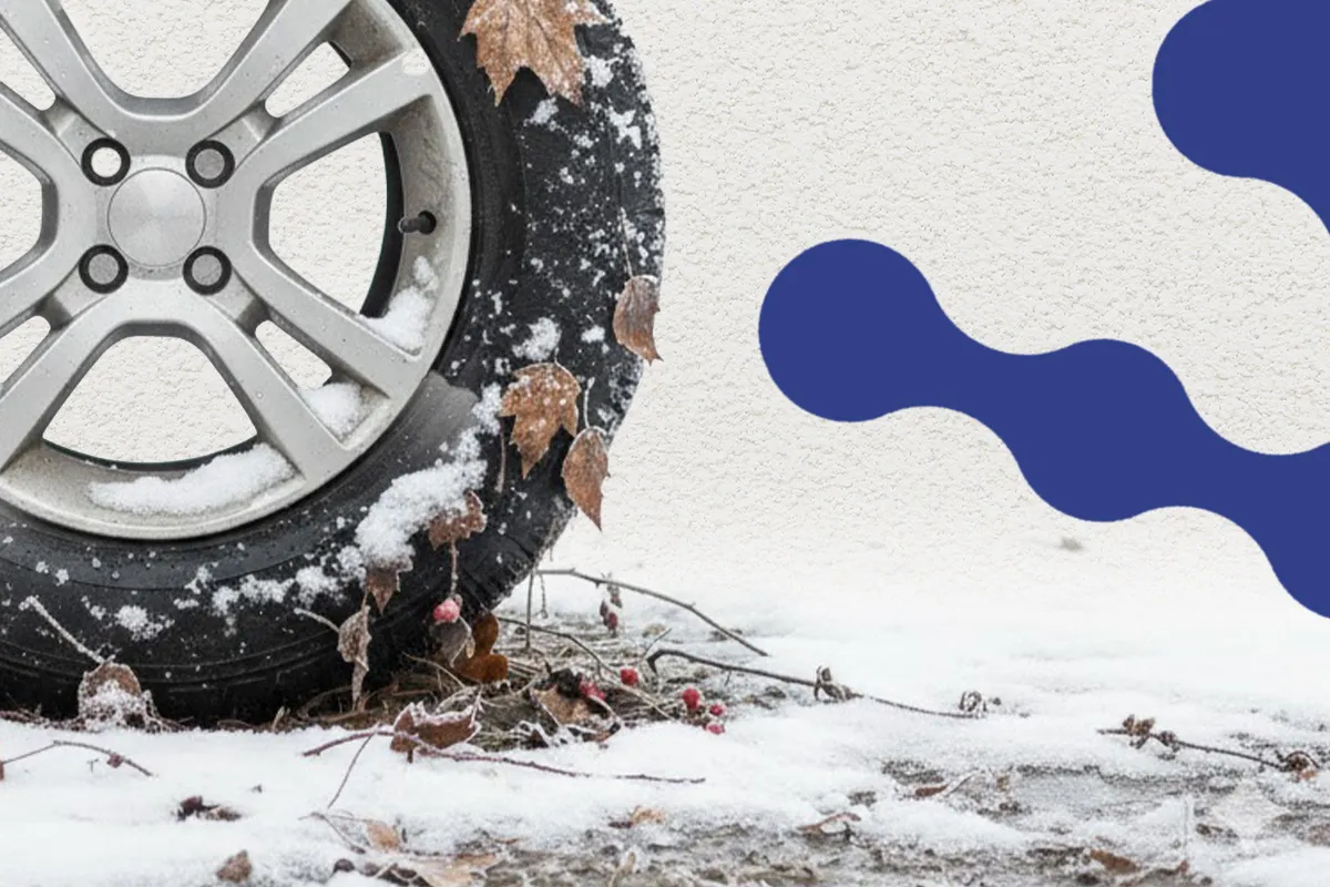 گل لاستیک مناسب برای فصل پاییز و زمستان